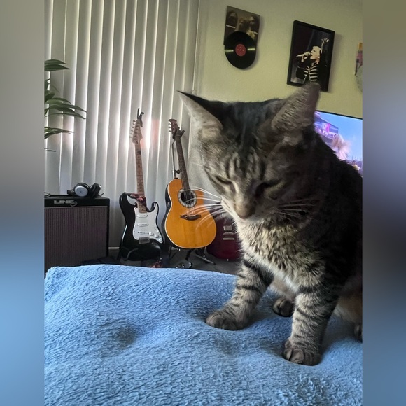 Welcome 🤗 Thursdays @ 7PM Join Me!! - Picture 16 of 16